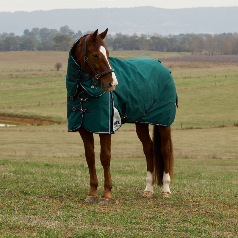 WeatherBeeta ComfiTec Plus Dynamic Turnout Detach-A-Neck 0g Rug - Forest Green/Navy-1