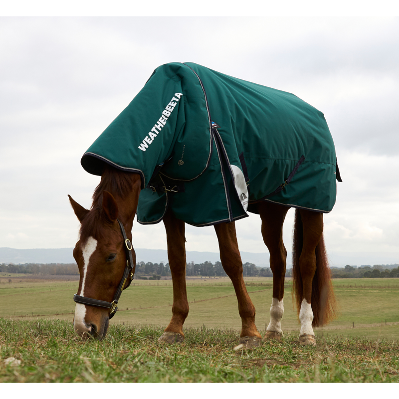 WeatherBeeta ComfiTec Plus Dynamic Turnout Detach-A-Neck 0g Rug - Forest Green/Navy-2