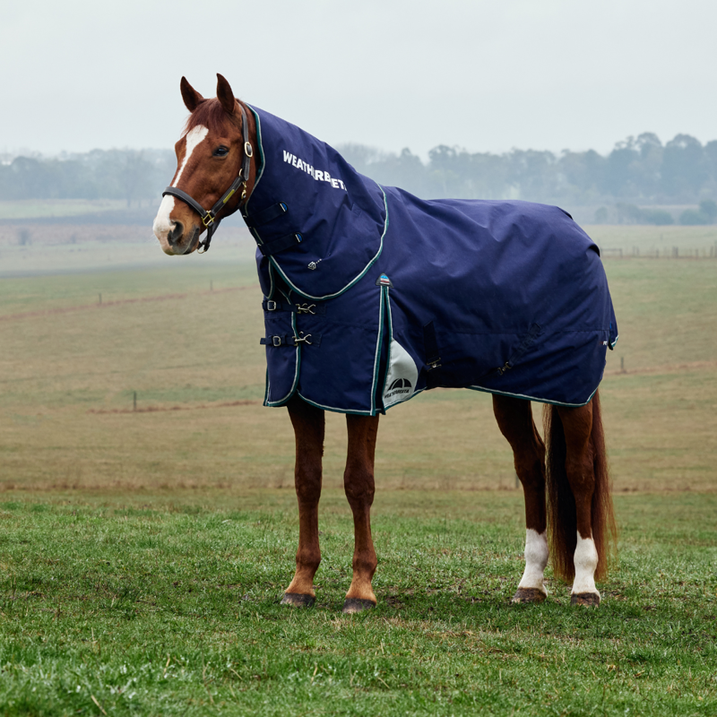 WeatherBeeta ComfiTec Plus Dynamic Turnout Detach-A-Neck 0g Rug - Navy/Forest Green