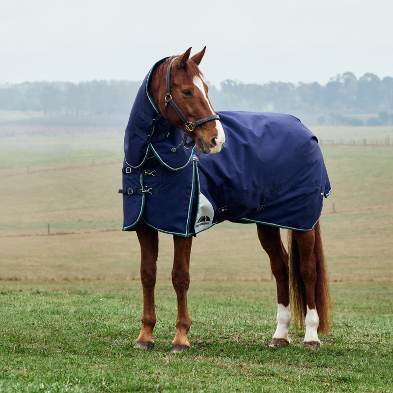 WeatherBeeta ComfiTec Plus Dynamic Turnout Detach-A-Neck 0g Rug - Navy/Forest Green-1