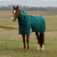 WeatherBeeta ComfiTec Plus Dynamic Turnout Detach-A-Neck 220g Rug - Forest Green/Navy