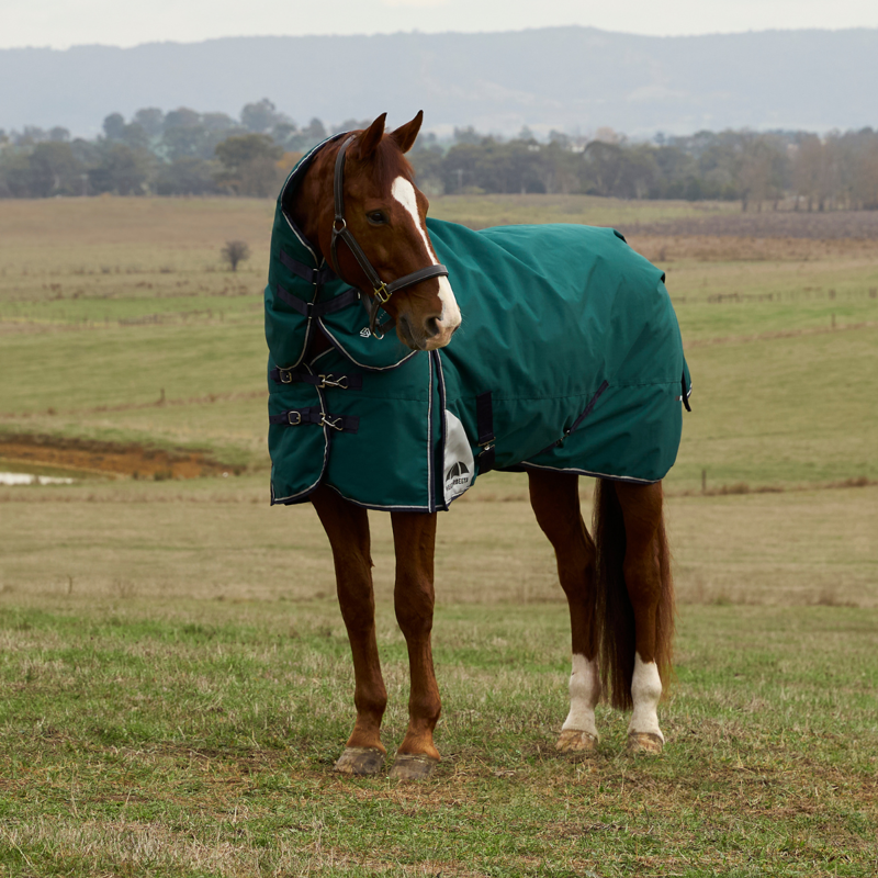WeatherBeeta ComfiTec Plus Dynamic Turnout Detach-A-Neck 100g Rug - Forest Green/Navy-1