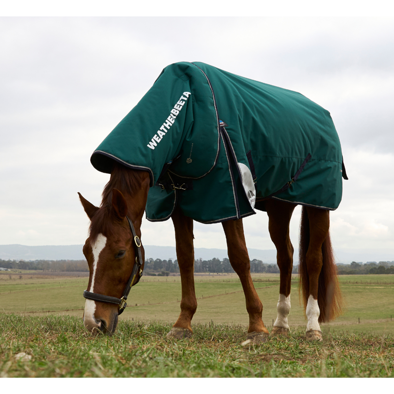 WeatherBeeta ComfiTec Plus Dynamic Turnout Detach-A-Neck 220g Rug - Forest Green/Navy-2
