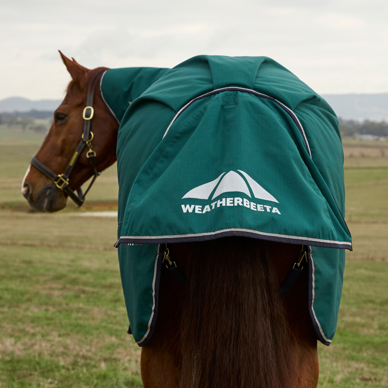 WeatherBeeta ComfiTec Plus Dynamic Turnout Detach-A-Neck 100g Rug - Forest Green/Navy-11