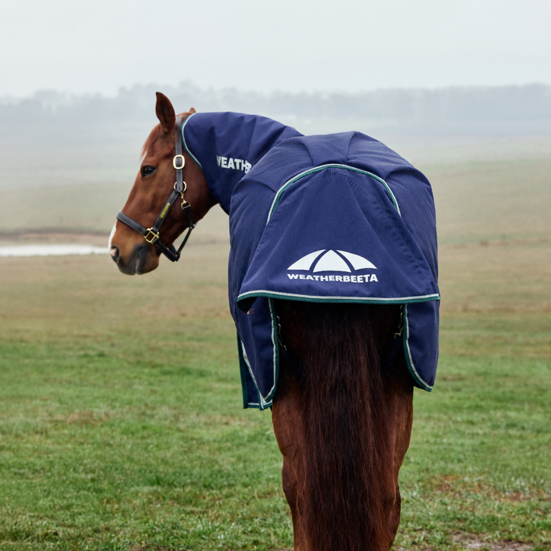 WeatherBeeta ComfiTec Plus Dynamic Turnout Detach-A-Neck 0g Rug - Navy/Forest Green-2