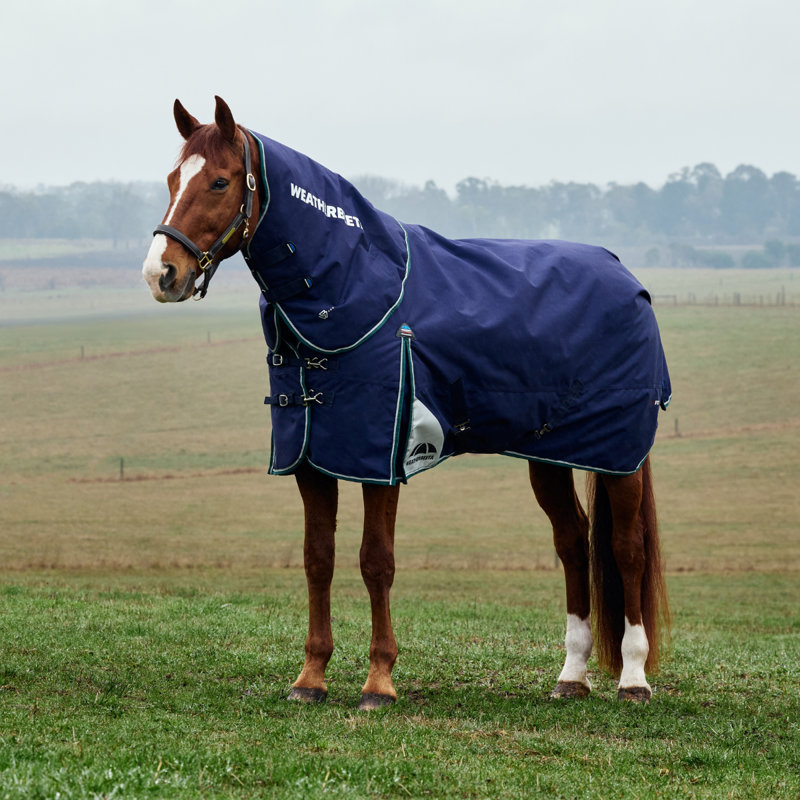 WeatherBeeta ComfiTec Plus Dynamic Turnout Detach-A-Neck 220g Rug - Navy/Forest Green