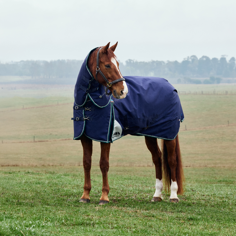 WeatherBeeta ComfiTec Plus Dynamic Turnout Detach-A-Neck 220g Rug - Navy/Forest Green-1