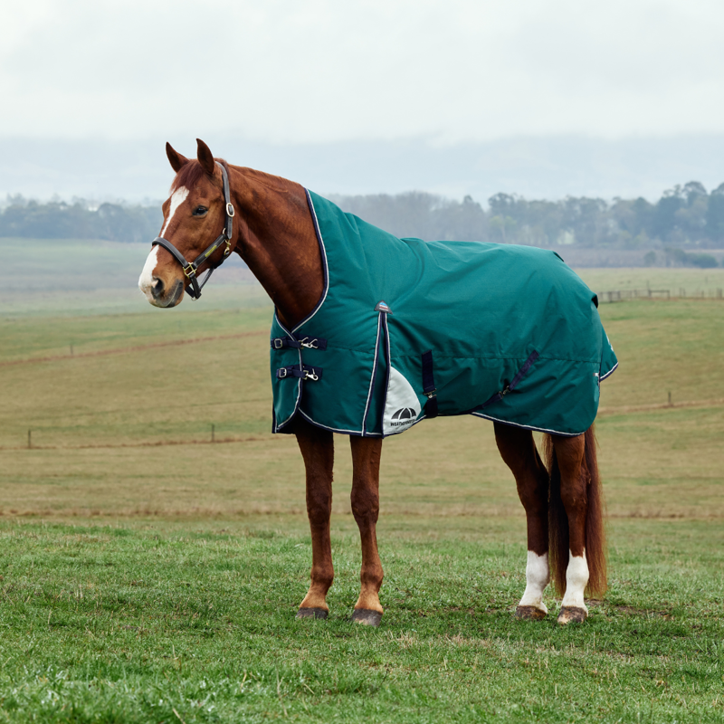 WeatherBeeta ComfiTec Plus Dynamic Turnout High Neck 100g Rug - Forest Green/Navy