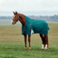 WeatherBeeta ComfiTec Plus Dynamic Turnout High Neck 220g Rug - Forest Green/Navy