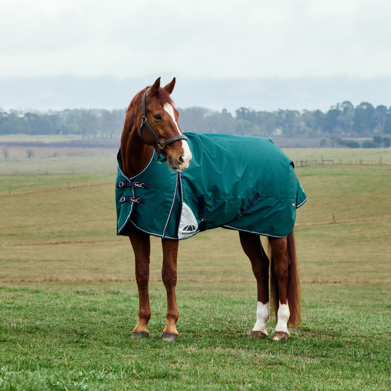 WeatherBeeta ComfiTec Plus Dynamic Turnout High Neck 100g Rug - Forest Green/Navy-1