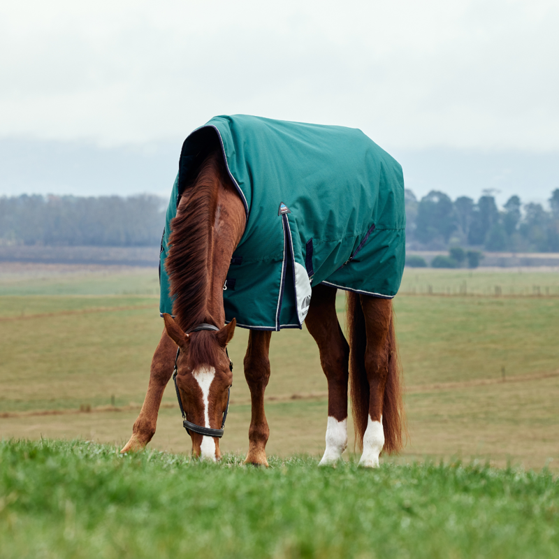 WeatherBeeta ComfiTec Plus Dynamic Turnout High Neck 100g Rug - Forest Green/Navy-2