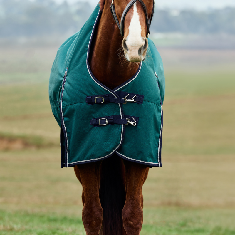 WeatherBeeta ComfiTec Plus Dynamic Turnout High Neck 100g Rug - Forest Green/Navy-3