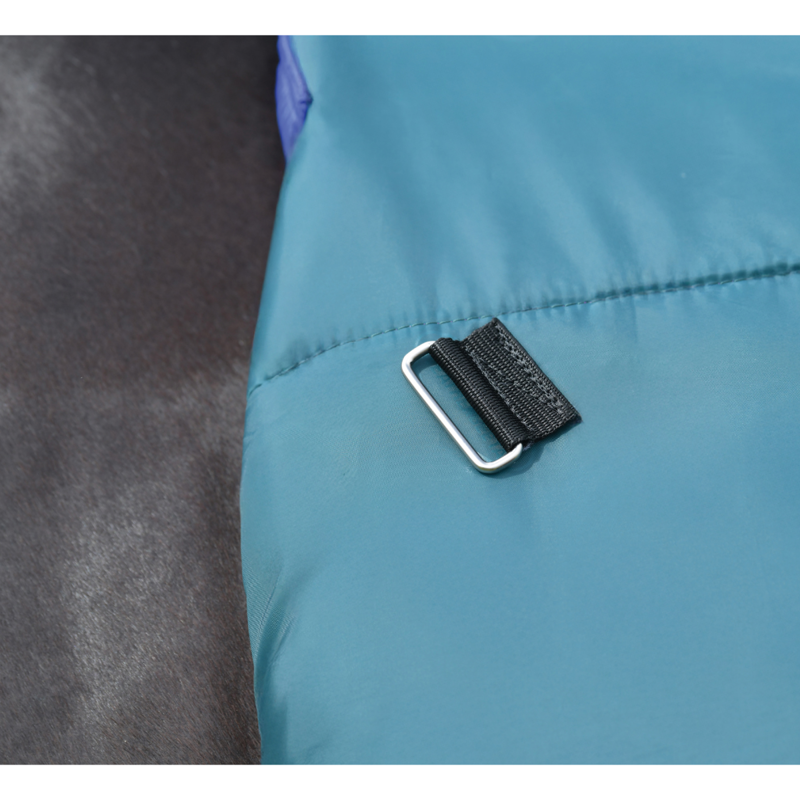 WeatherBeeta ComfiTec Plus Dynamic Turnout High Neck 220g Rug - Forest Green/Navy-6