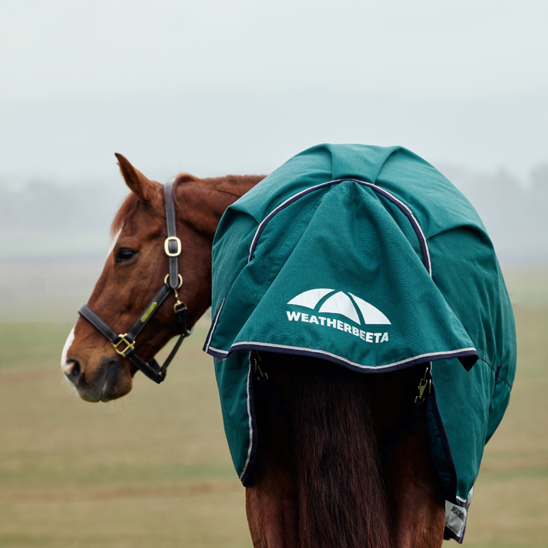 WeatherBeeta ComfiTec Plus Dynamic Turnout High Neck 100g Rug - Forest Green/Navy-7