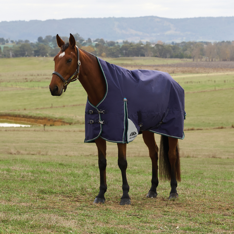 WeatherBeeta ComfiTec Plus Dynamic Turnout High Neck 100g Rug - Navy/Forest Green