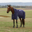 WeatherBeeta ComfiTec Plus Dynamic Turnout High Neck 100g Rug - Navy/Forest Green