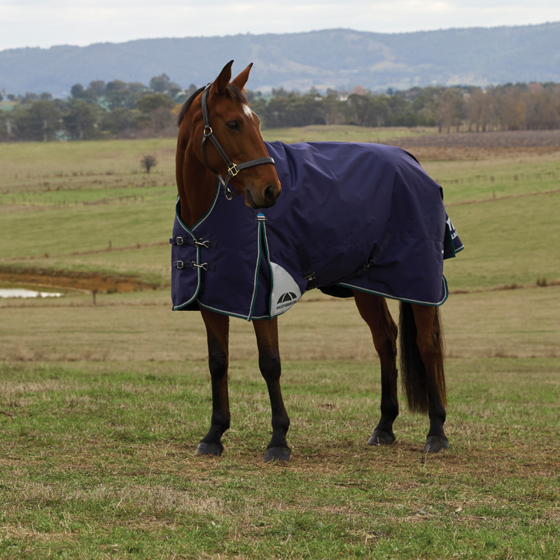 WeatherBeeta ComfiTec Plus Dynamic Turnout High Neck 220g Rug - Navy/Forest Green-1
