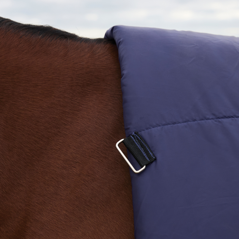 WeatherBeeta ComfiTec Plus Dynamic Turnout High Neck 100g Rug - Navy/Forest Green-4