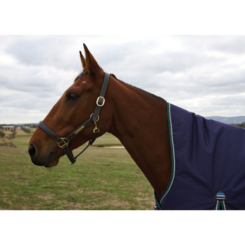 WeatherBeeta ComfiTec Plus Dynamic Turnout High Neck 220g Rug - Navy/Forest Green-2
