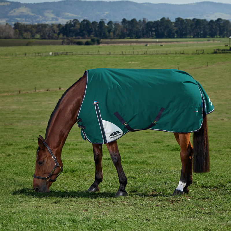 WeatherBeeta ComfiTec Plus Dynamic Turnout 0g Rug - Forest Green/Navy-1