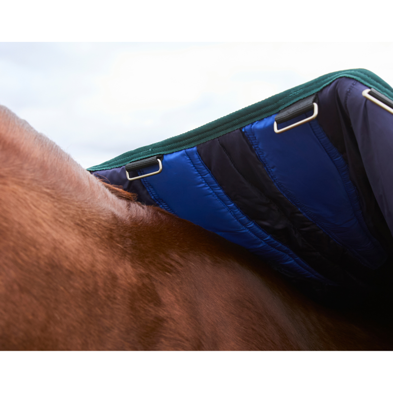 WeatherBeeta ComfiTec Plus Dynamic Turnout 100g Rug - Forest Green/Navy-4