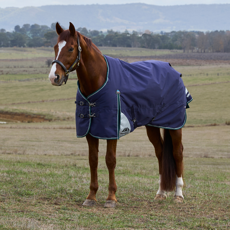 WeatherBeeta ComfiTec Plus Dynamic Turnout 0g Rug - Navy/Forest Green