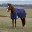 WeatherBeeta ComfiTec Plus Dynamic Turnout 100g Rug - Navy/Forest Green