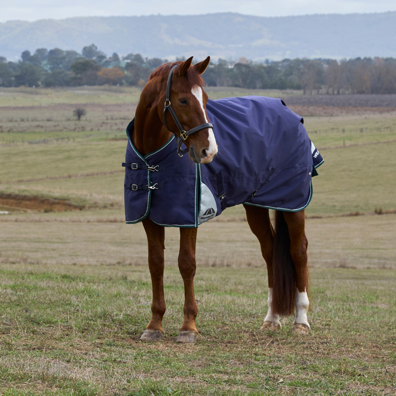WeatherBeeta ComfiTec Plus Dynamic Turnout 100g Rug - Navy/Forest Green-1