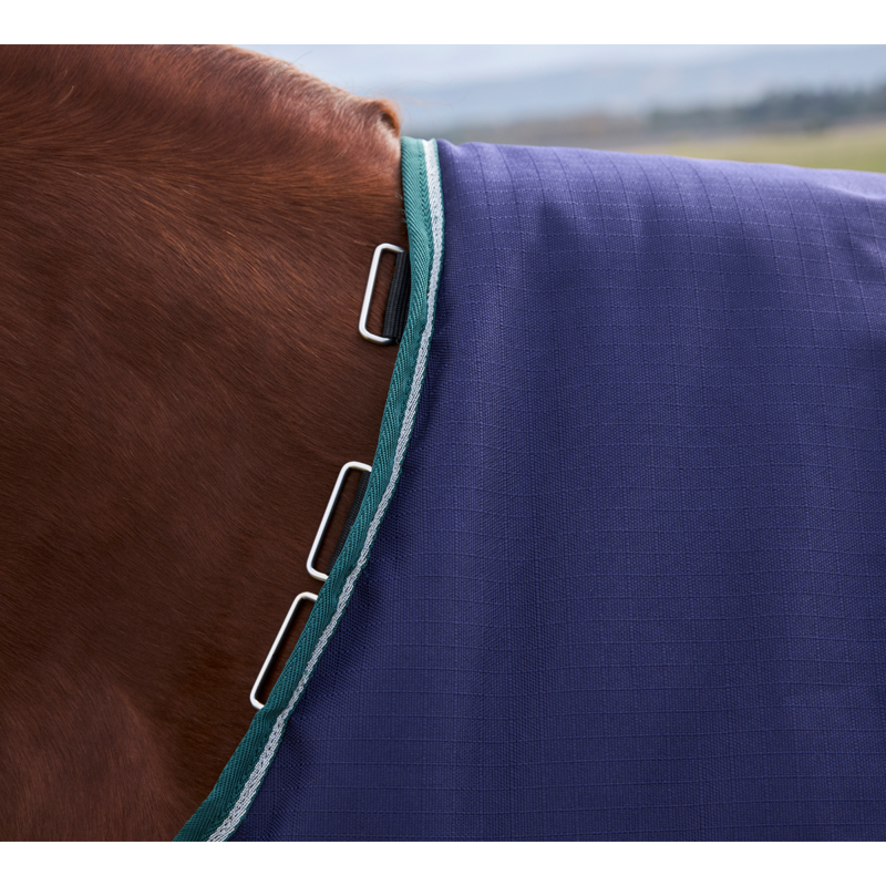 WeatherBeeta ComfiTec Plus Dynamic Turnout 0g Rug - Navy/Forest Green-3