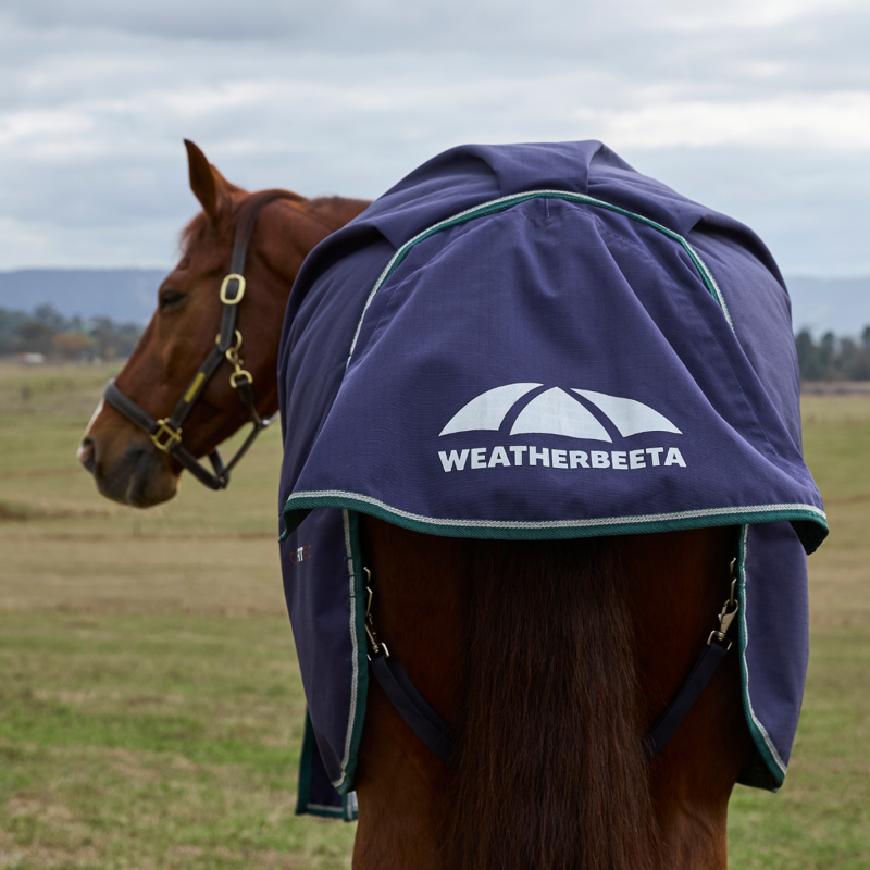 WeatherBeeta ComfiTec Plus Dynamic Turnout 100g Rug - Navy/Forest Green-7