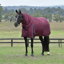 WeatherBeeta ComfiTec Essential Turnout Detach-A-Neck 50g Rug - Burgundy/Navy