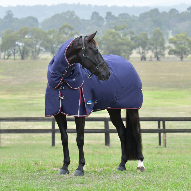 WeatherBeeta ComfiTec Essential Turnout Detach-A-Neck 50g Rug - Navy/Burgundy-1