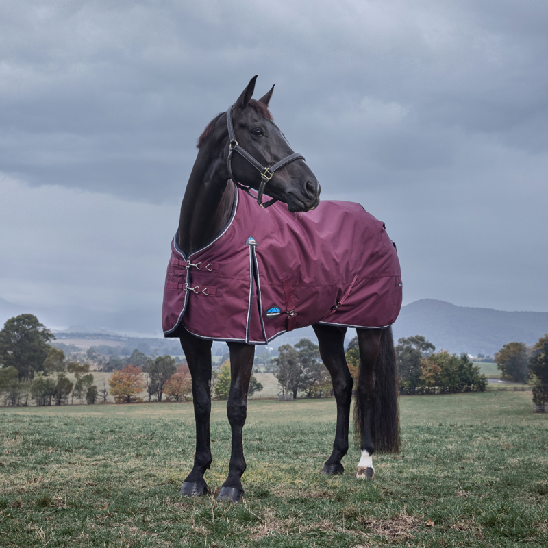 WeatherBeeta ComfiTec Essential Turnout 220g Rug - Burgundy/Navy-1