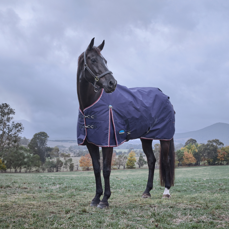 WeatherBeeta ComfiTec Essential Turnout 220g Rug - Navy/Burgundy-1