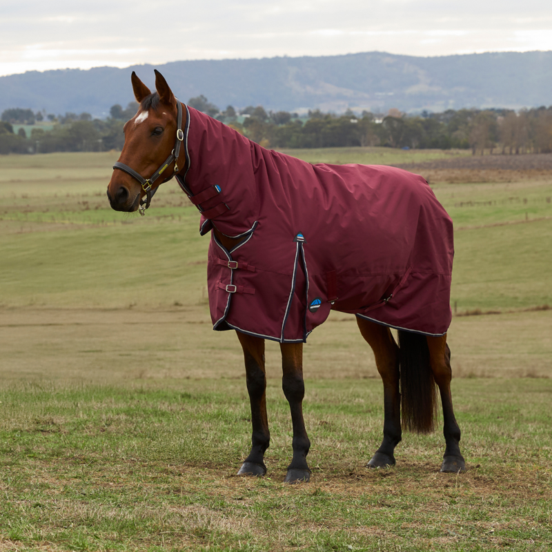 WeatherBeeta ComfiTec Prelim Turnout Combo 0g Rug - Burgundy/Navy