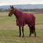 WeatherBeeta ComfiTec Prelim Turnout Combo 220g Rug - Burgundy/Navy
