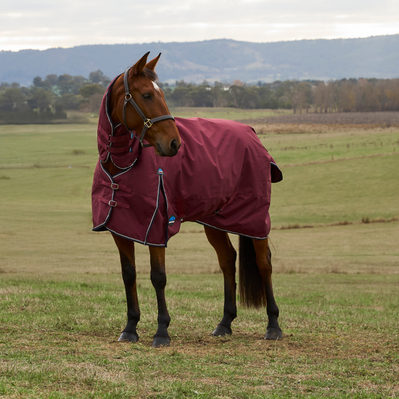 WeatherBeeta ComfiTec Prelim Turnout Combo 0g Rug - Burgundy/Navy-1