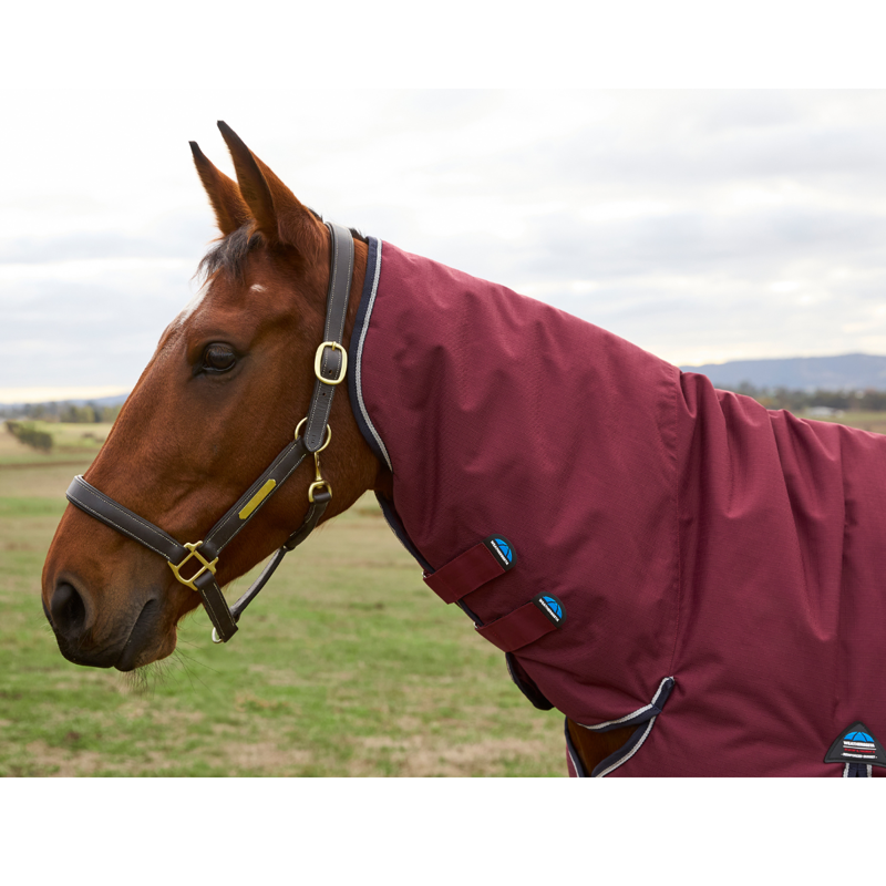 WeatherBeeta ComfiTec Prelim Turnout Combo 0g Rug - Burgundy/Navy-2