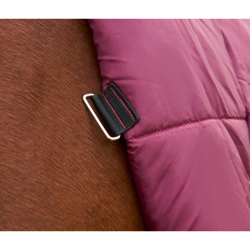 WeatherBeeta ComfiTec Prelim Turnout Combo 0g Rug - Burgundy/Navy-5