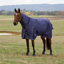 WeatherBeeta ComfiTec Prelim Turnout Combo 220g Rug - Navy Embossed Plaid