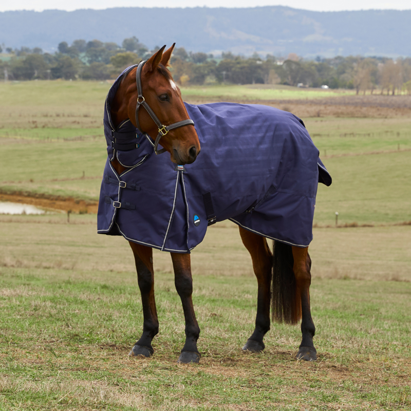 WeatherBeeta ComfiTec Prelim Turnout Combo 220g Rug - Navy Embossed Plaid-1