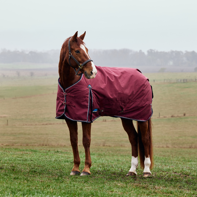 WeatherBeeta ComfiTec Prelim Turnout 220g Rug - Burgundy/Navy-1