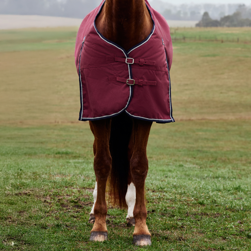 WeatherBeeta ComfiTec Prelim Turnout 220g Rug - Burgundy/Navy-2