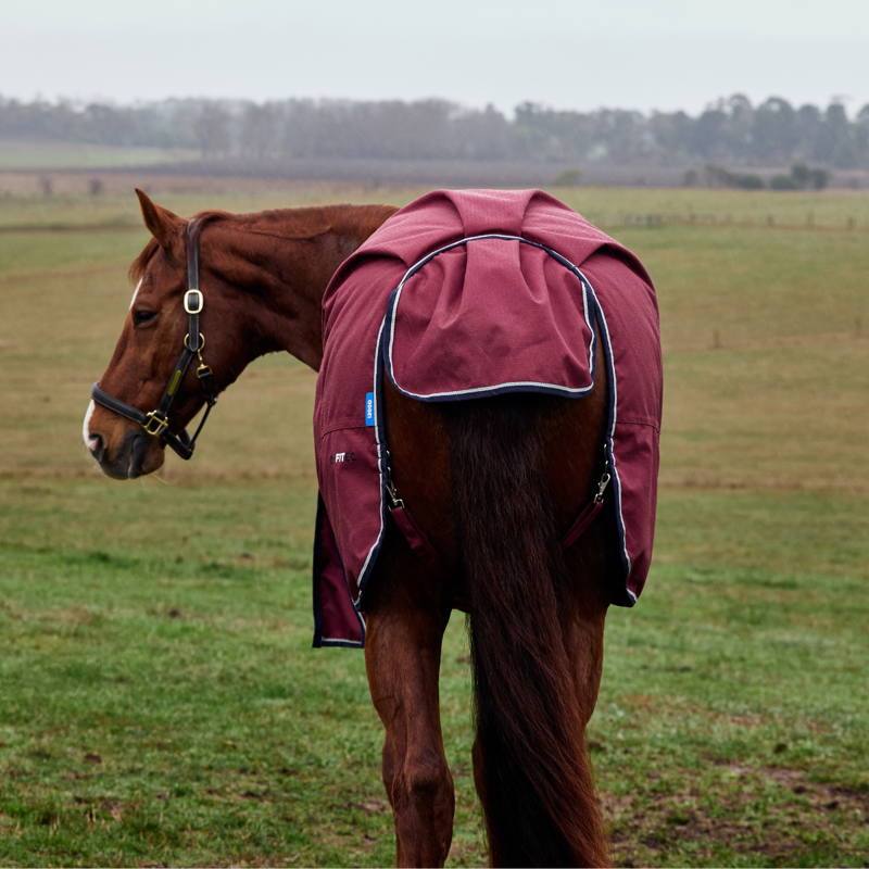 WeatherBeeta ComfiTec Prelim Turnout 220g Rug - Burgundy/Navy-6