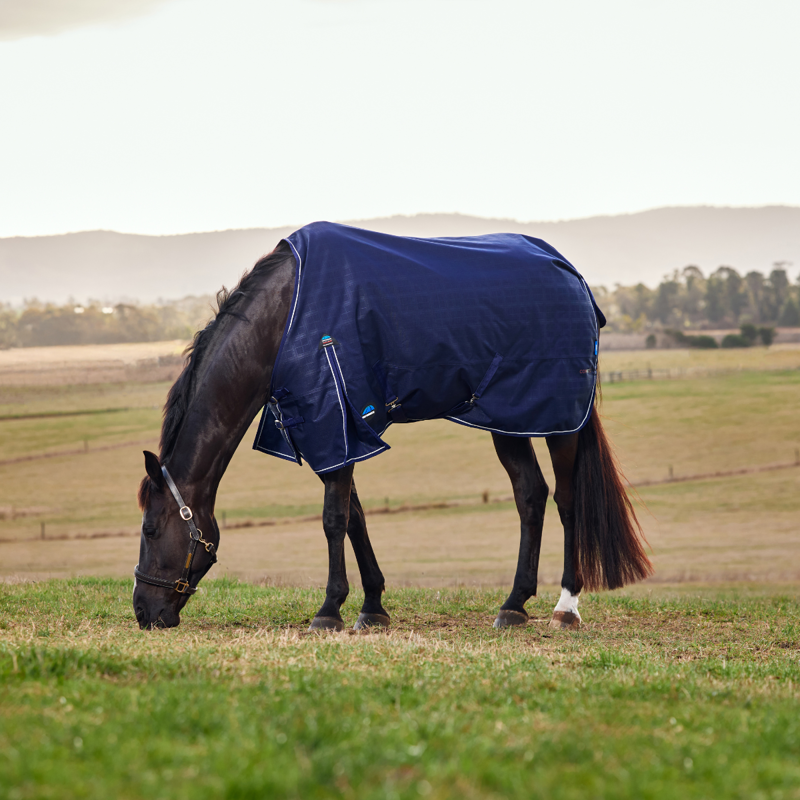 WeatherBeeta ComfiTec Prelim Turnout 220g Rug - Navy Embossed Plaid-2