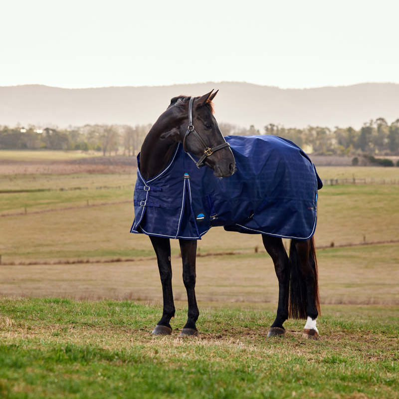 WeatherBeeta ComfiTec Prelim Turnout 220g Rug - Navy Embossed Plaid-1