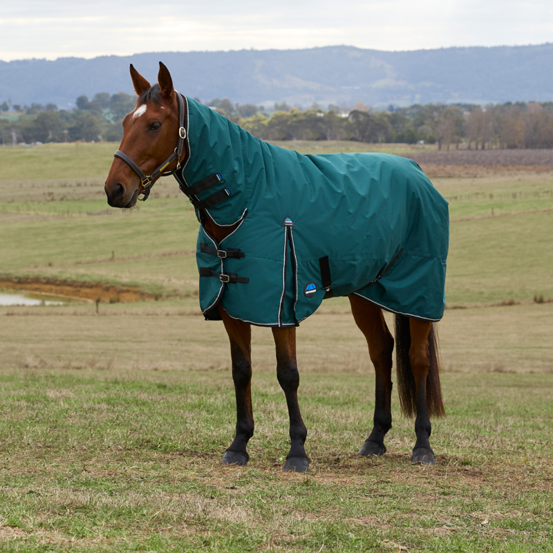 WeatherBeeta ComfiTec Classic Turnout Combo 360g Rug - Forest Green/Black