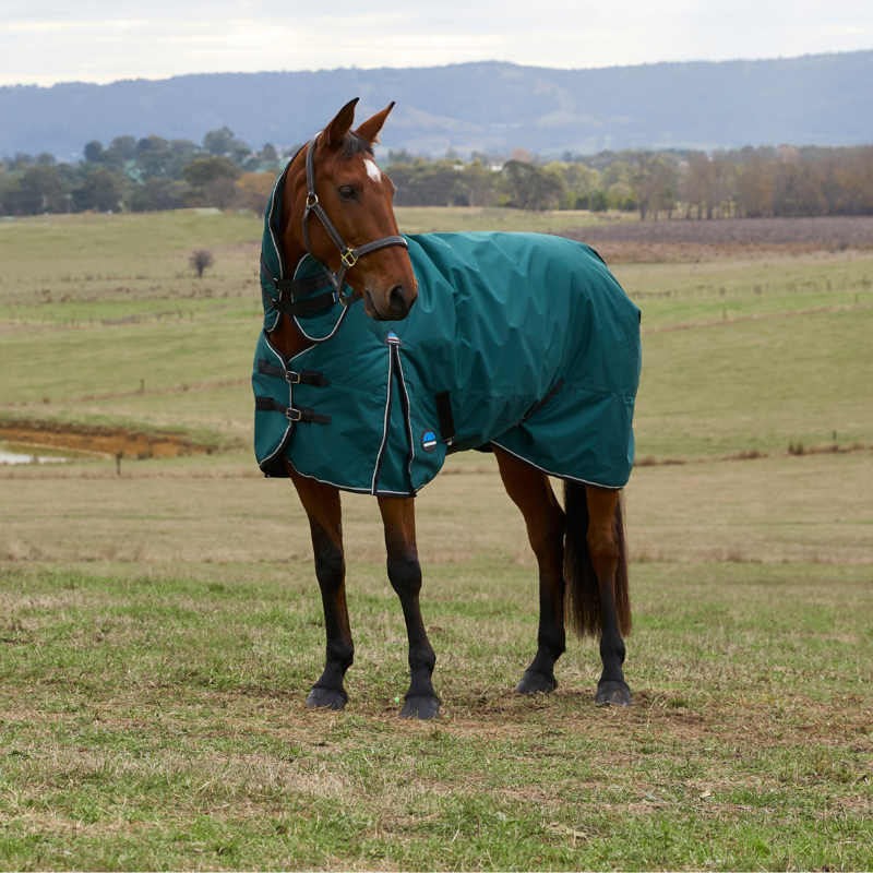 WeatherBeeta ComfiTec Classic Turnout Combo 360g Rug - Forest Green/Black-1