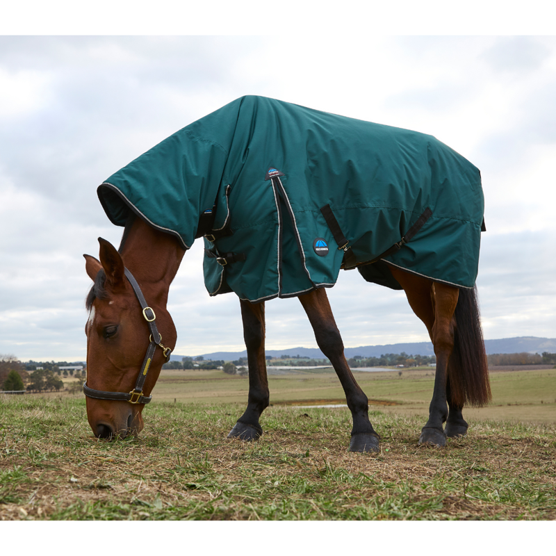 WeatherBeeta ComfiTec Classic Turnout Combo 360g Rug - Forest Green/Black-2