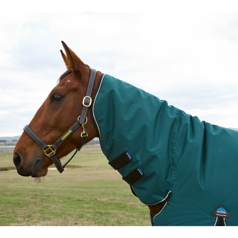 WeatherBeeta ComfiTec Classic Turnout Combo 360g Rug - Forest Green/Black-3